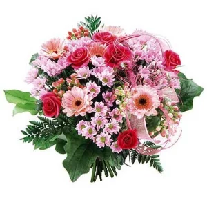 Розовая пантера